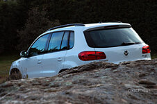 DSC_0196.jpg