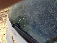 IMG_4299.JPG