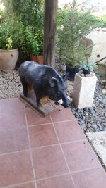 20160521_193510.jpg