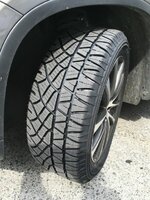 IMG_1559.JPG