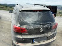 2016-06-11 23.31.18.jpg