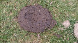 DSC_0214.JPG