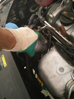 IMG_20160624_125015[1].jpg