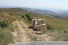 IMG_0549-2.jpg
