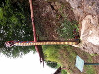 20160626_152217.jpg