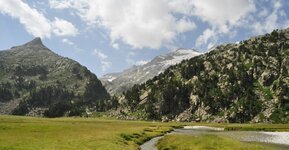 DSC_0242.JPG