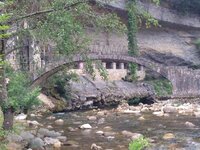 IMG_6586.JPG