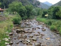 IMG_6594.JPG