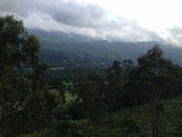 IMG_6762.JPG