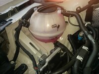 IMG_20160818_080008.jpg