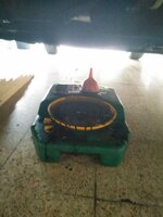 IMG_20160801_185004.jpg