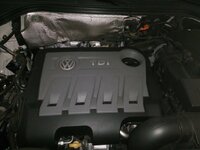 IMG_20160801_185013.jpg
