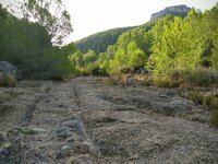 IMG_20160905_090806.jpg