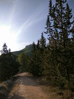 IMG_20160905_090203.jpg