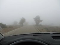 IMG_1474_1971x1478.jpg