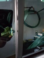 20160918_105445.jpg 20160918_105445.jpg