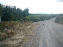 19.09.16 - 1ª salidilla Liebre.jpg