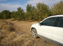 IMG_20161011_170520.jpg