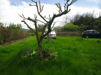 IMG_20160416_161449.jpg