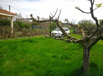 IMG_20160416_161510.jpg