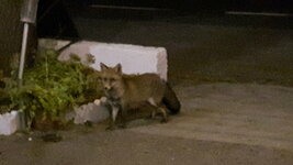 20161029_225355.jpg