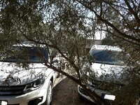 20161101_152844.jpg