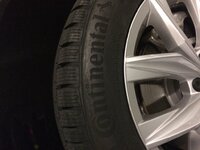 IMG_2476.JPG
