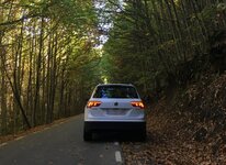 IMG_0040.JPG