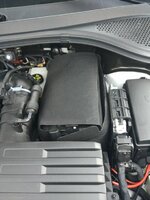 IMG_20161126_113420.jpg