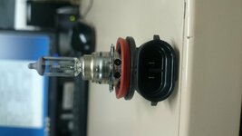 DSC_1291.JPG