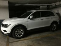 IMG_5960.JPG