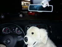 20161209_202956.jpg