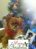 20161224_092915.jpg
