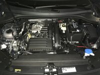IMG_0009.jpg
