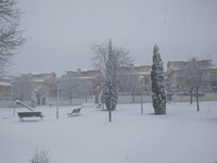 IMG_20170118_123116.jpg
