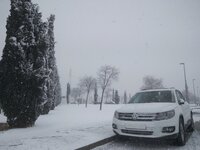 IMG_20170118_123137-01.jpeg