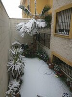 IMG_20170118_124355.jpg
