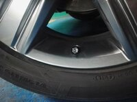IMG_20170129_213735.jpg