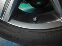 IMG_20170129_213731.jpg