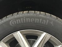 IMG_8304.JPG