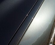 IMG_20170221_104510.jpg