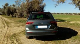 IMG_20170221_104409.jpg