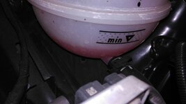IMG_20170323_142031.jpg