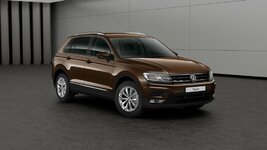 tiguan 2.jpg