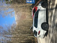 IMG_7918.JPG