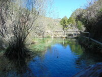 DSC01575.JPG