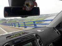 20170409_115951.jpg
