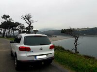 20170410_223115.jpg