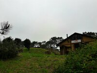 20170410_223402.jpg