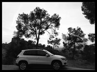 IMG_20170416_202037-01.jpeg